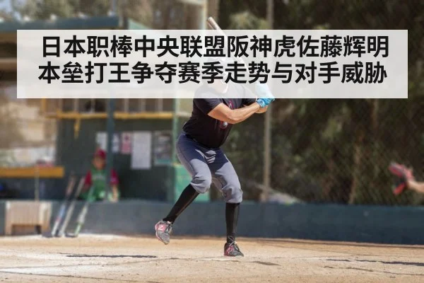 日本职棒中央联盟阪神虎佐藤辉明本垒打王争夺赛季走势与对手威胁